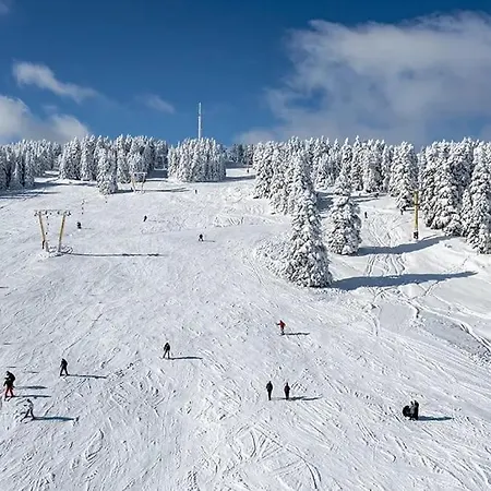 Erta Soyak Uludag Отель