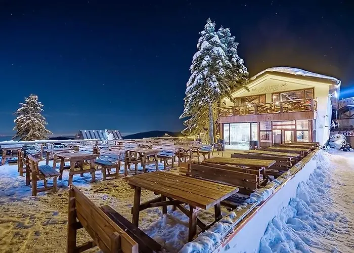 Erta Soyak Uludag Hotel 3*